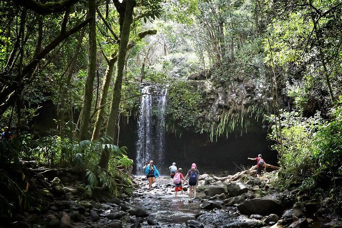 waterfall-rainforest-hiking-adventure-with-hotel-pickup
