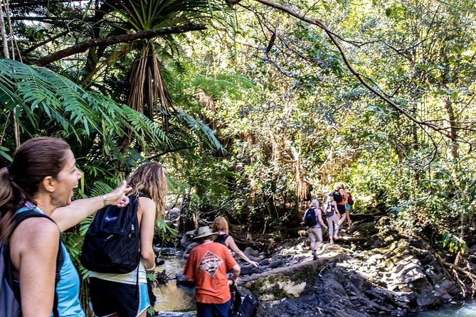 waterfall-rainforest-hiking-adventure-with-hotel-pickup