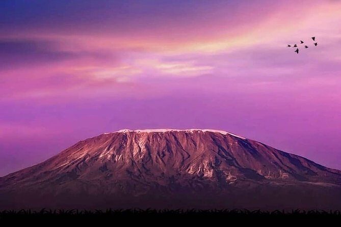 Waterfalls, Coffee, Hotsprings, Food Cuisine, & Serval Wildlife - FAQ