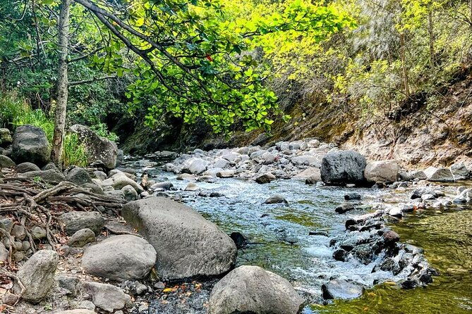 waterfalls-hike-rivers-tour-from-kahului