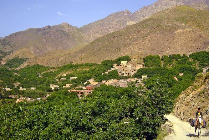 Waterfalls, Three valleys, Atlas Montains, Camels & Desert - Who Will Love This Tour?
