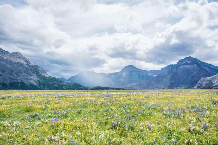 waterton-lakes-national-park-prince-of-wales-hotel