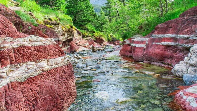 watertons-wild-beauty-a-hidden-gem-in-the-rockies