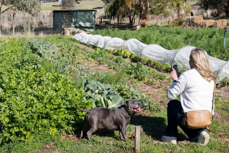 Watervale: Penobscot Farm Tour with Chef and 5-Course Lunch - Who Will Love This Tour?