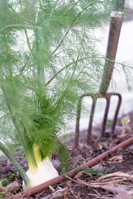 Watervale: Penobscot Farm Tour with Chef and 5-Course Lunch - Frequently Asked Questions