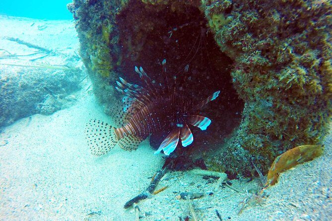 Wave Break Island Scuba Diving on the Gold Coast - Frequently Asked Questions
