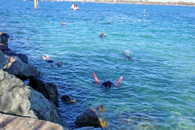 Wave Break Island Snorkel Tour on the Gold Coast - An In-Depth Look at the Tour