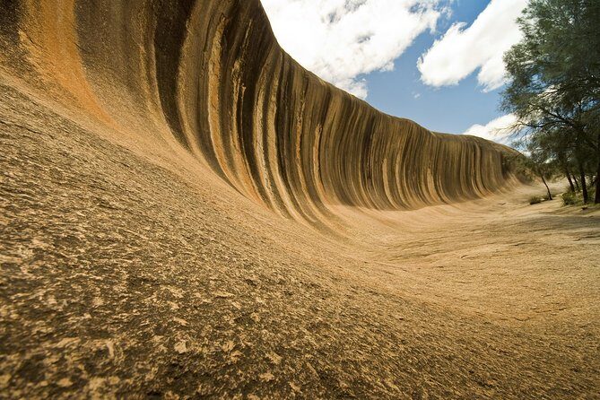 Wave Rock, York, Wildflowers, and Aboriginal Cultural Day Tour from Perth - An Overview of the Tour Experience