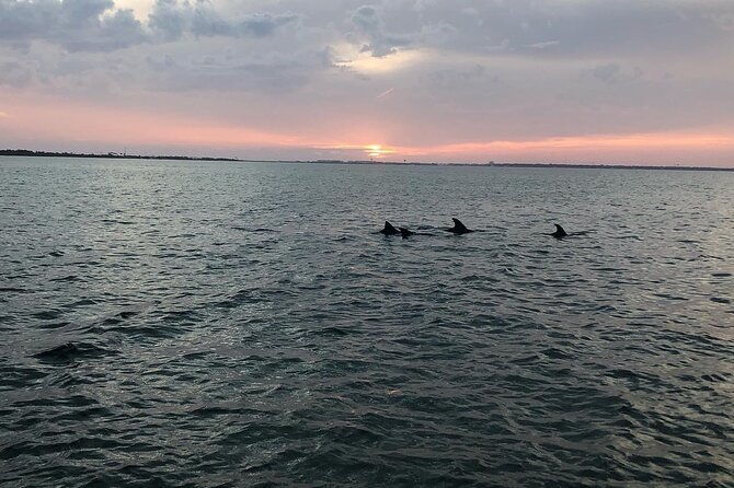 waverunner-dolphin-tour