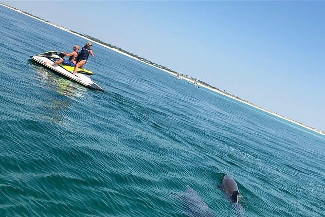 waverunner-dolphin-tour