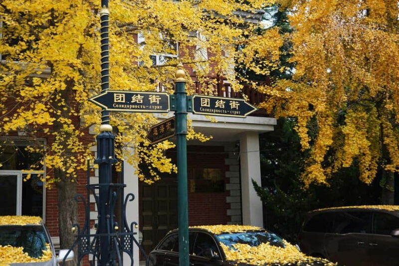 Waves & Wharfs: Dalian's Chill Soul 1-Day Tour - A Detailed Look at the Dalian Waves & Wharfs Tour