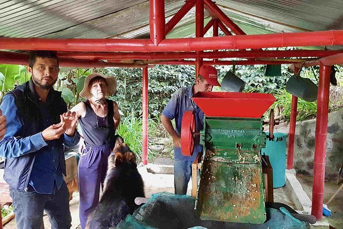 wax-palms-salento-and-coffee-private-full-day-tour