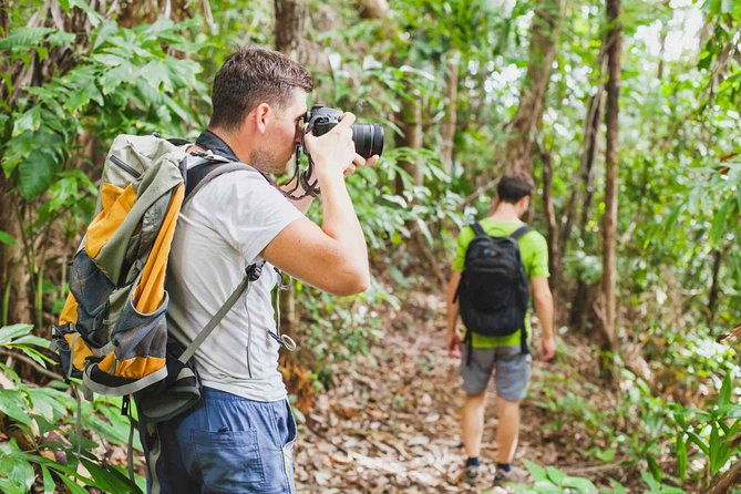 wax-palms-salento-and-coffee-private-full-day-tour