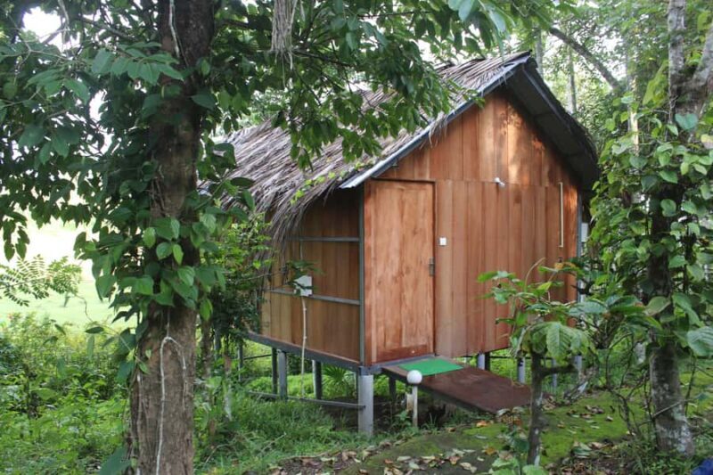 Wayanad: 2-Day Forest and Tribal Experience with Meals - What Travelers Are Saying