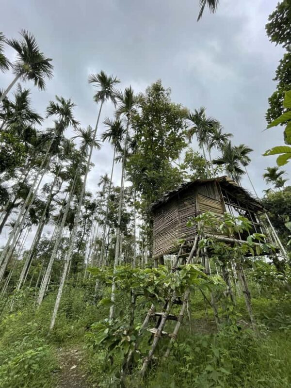 Wayanad: 2-Day Forest and Tribal Experience with Meals - Final Thoughts