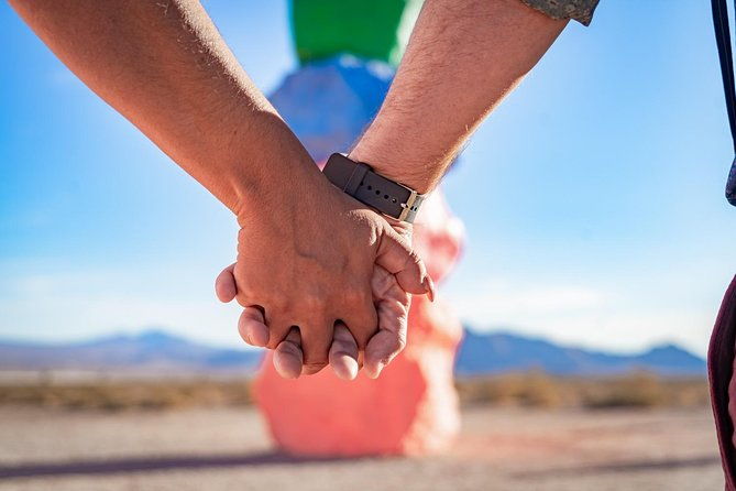 wedding-in-french-at-7-magic-mountains