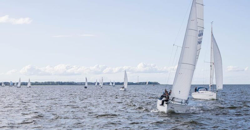 wednesday-regatta-with-harbour-tour