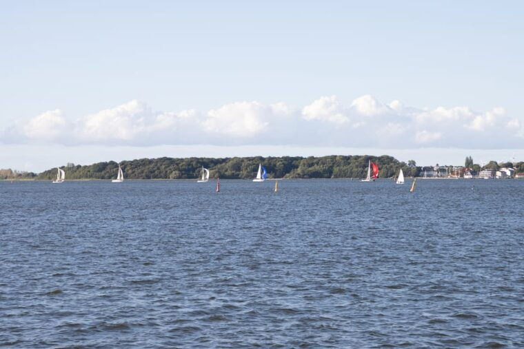 wednesday-regatta-with-harbour-tour