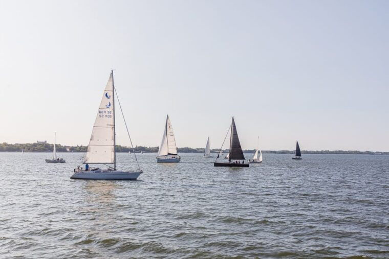 wednesday-regatta-with-harbour-tour