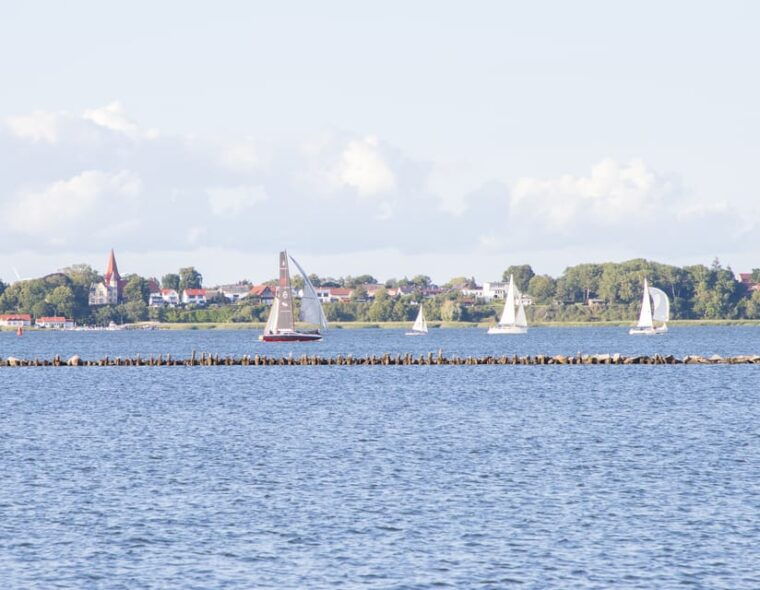 wednesday-regatta-with-harbour-tour