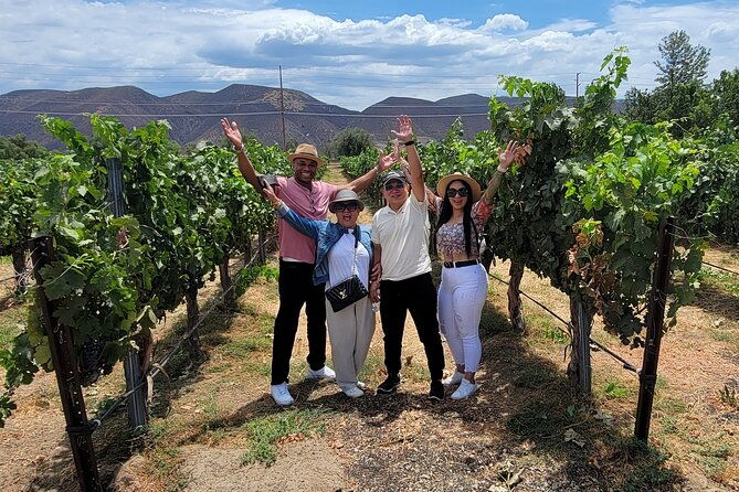 weekday-wine-tour-special-local-pick-up-in-temecula-wine-country