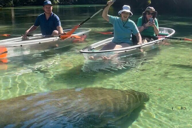 Weeki Wachee Clear Kayak Ecotours Manatee Season - November 14th-March 31st - An In-Depth Look at the Weeki Wachee Kayaking Experience