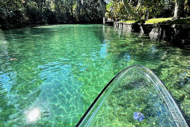 weeki-wachee-clear-paddle-board-ecotours