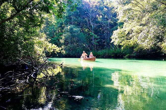 weeki-wachee-kayaking