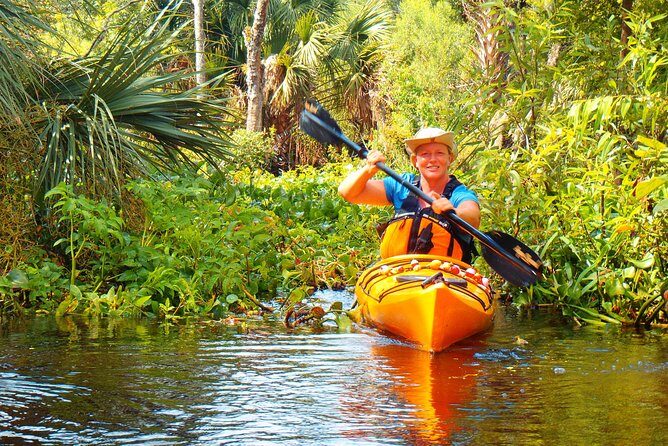 Wekiva River Guided Kayak Tour - A Closer Look at the Wekiva River Guided Kayak Tour