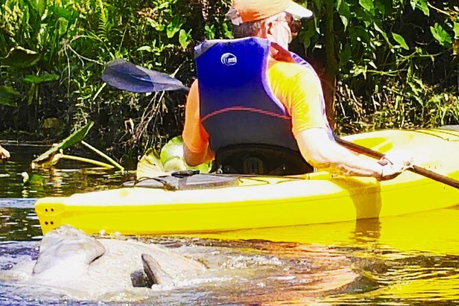 Wekiva River Guided Kayak Tour - FAQ