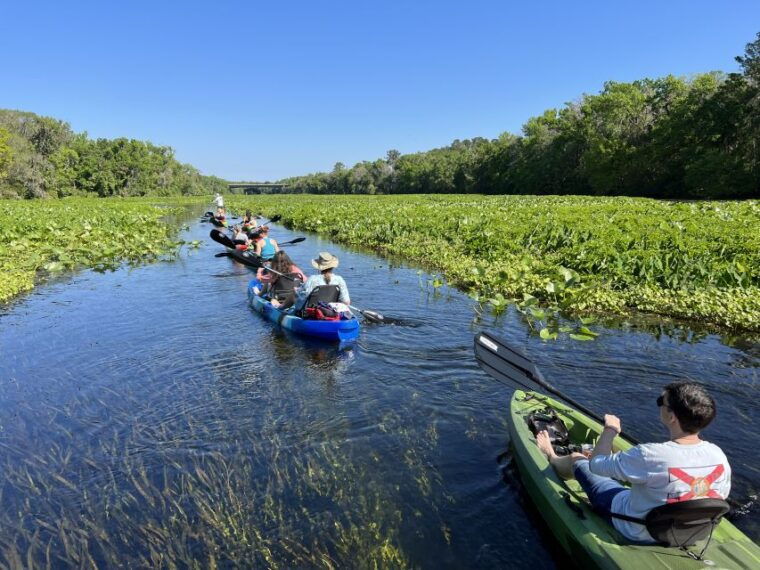 wekiva-wildlife-kayaking-adventure-tour-2