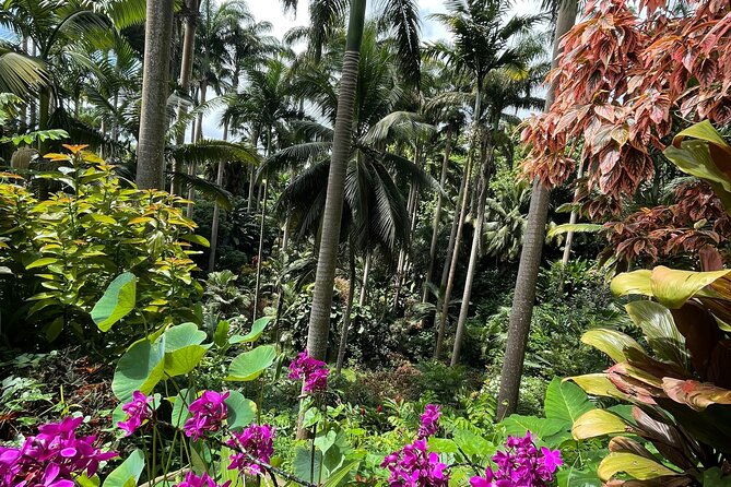 welchman-hall-gully-huntes-garden-and-peg-farm-family-day
