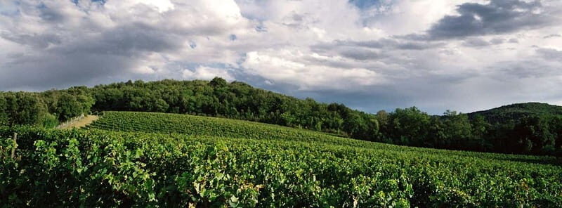 Welcome to Casale del Bosco - A Closer Look at the Tour Experience