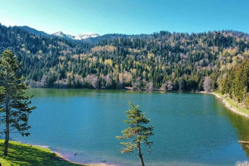 welcome to georgia discover together - Key Points
