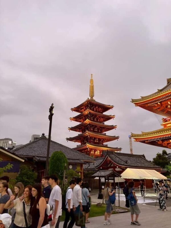 Welcome to Tokyo: A Gentle First Journey by Private Car - An In-Depth Look at the Tour