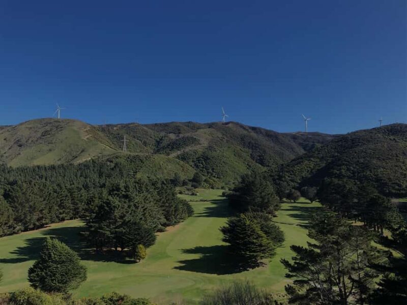 Wellington: 7-Day Lower North Island Golf Tour - What’s Not Included