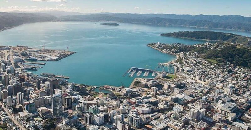 Wellington: 9-Minute Scenic Flight Ride - What to Expect During the Flight
