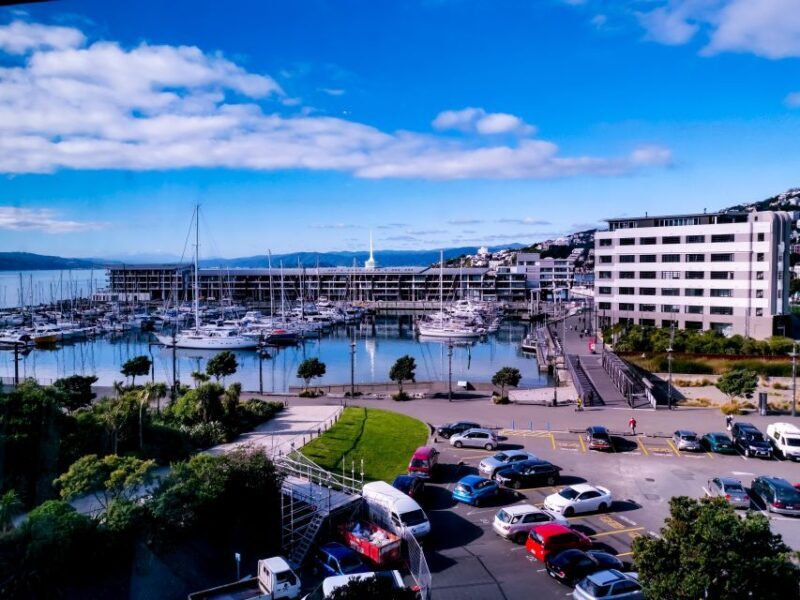 Wellington: 9-Minute Scenic Flight Ride - Practical Details and Tips