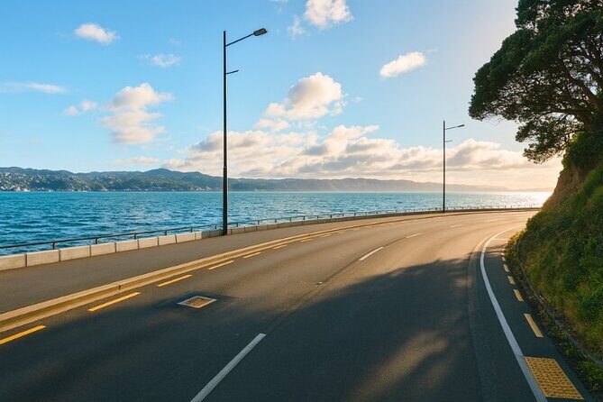 Wellington Coastal Self Drive Tour with an APP - Practicalities and Tips