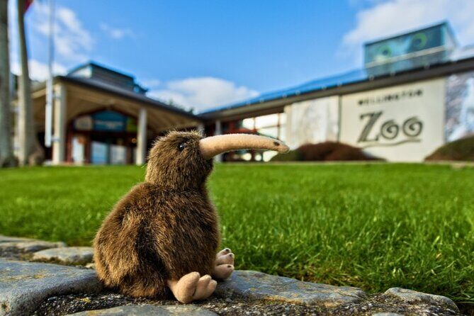 Wellington Coastal Self Drive Tour with an APP - FAQ