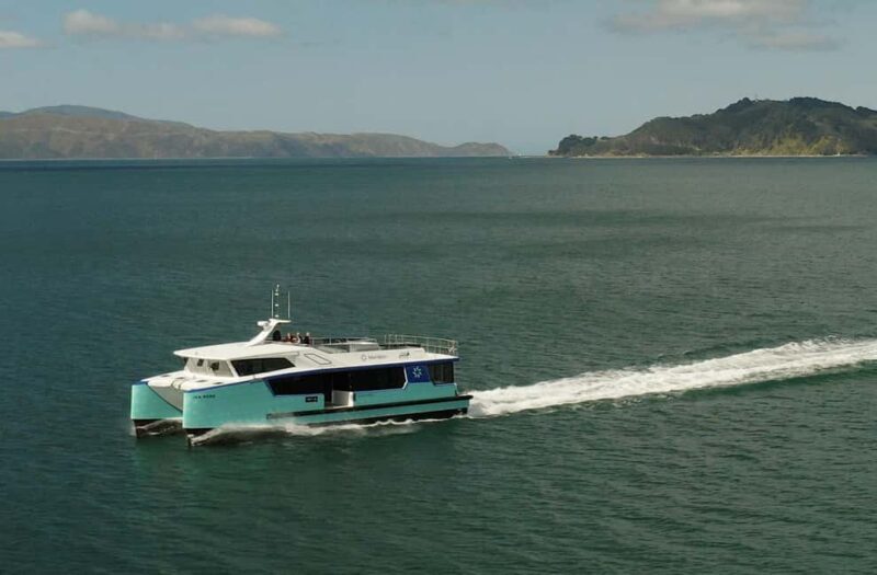 Wellington: Commentated Harbour Explorer tour - Key Points