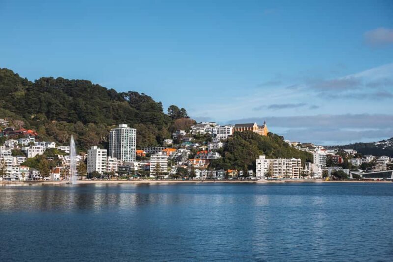 Wellington: Commentated Harbour Explorer tour - Introduction: An Eco-Friendly Harbour Tour with a Local Twist