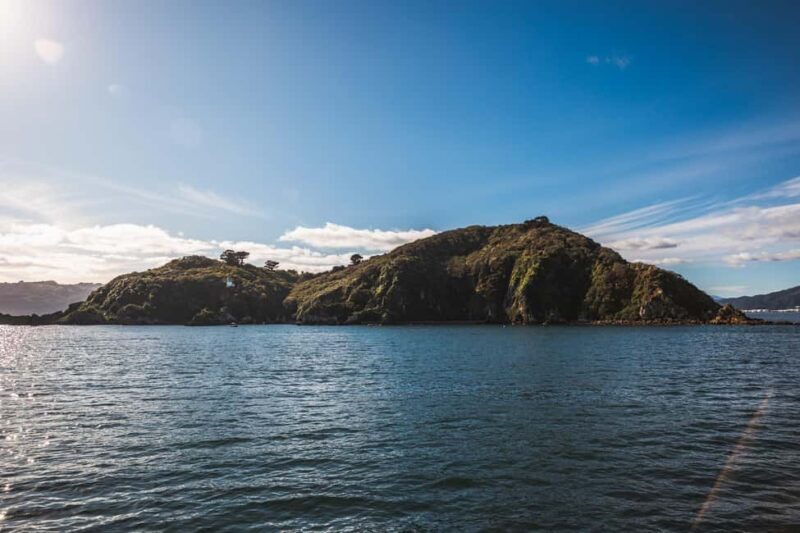 Wellington: Commentated Harbour Explorer tour - Who Will Love This Tour?