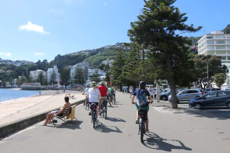Wellington: Easy Rider Guided eBike Tour - The Experience: Riding and Learning