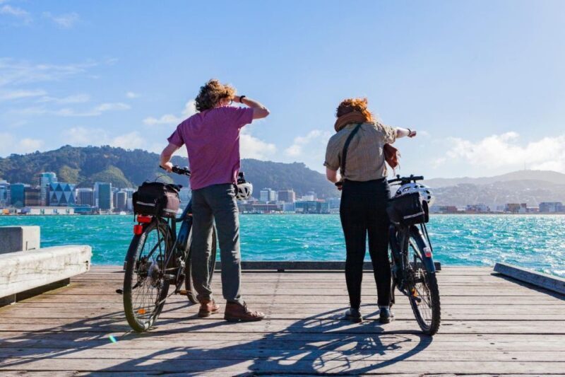 Wellington: Easy Rider Guided eBike Tour - The Sum Up