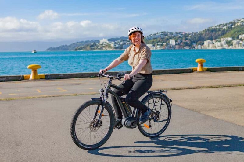 Wellington: Electric Bike Rental - Key Points