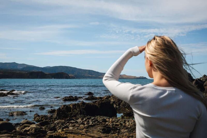 Wellington: Guided City Tour with Cable Car Ticket - What to Expect from Your Wellington Tour