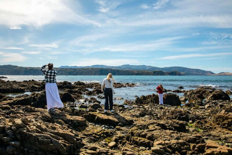 Wellington: Guided City Tour with Cable Car Ticket - Transport, Duration, and Value