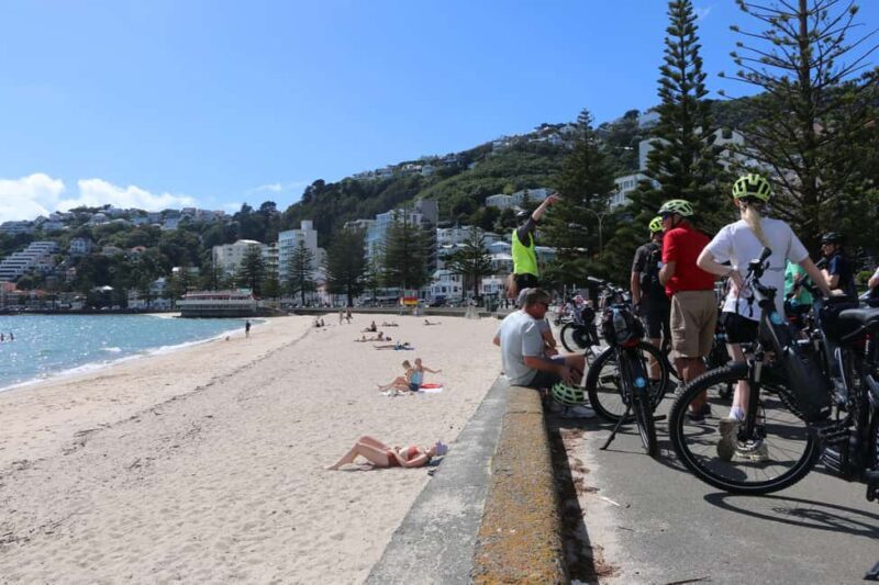 Wellington: Guided Sightseeing Tour by Electric Bike - Key Points