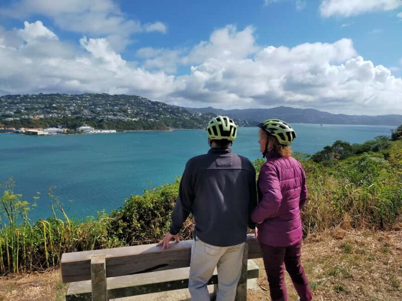 Wellington: Guided Sightseeing Tour by Electric Bike - FAQ